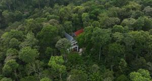 tapovana hillside retreat