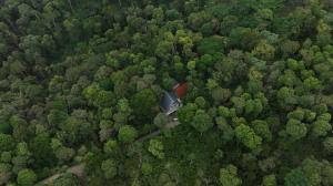 tapovana hillside retreat