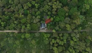 tapovana hillside retreat
