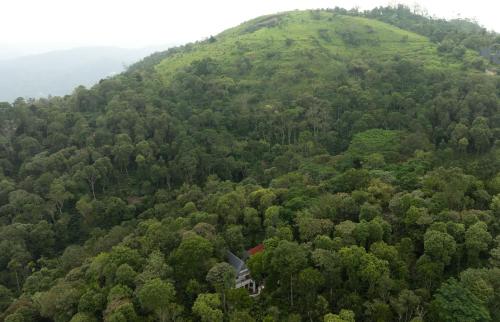 tapovana hillside retreat
