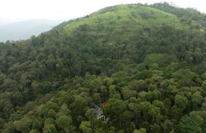 tapovana hillside retreat