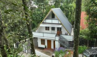 tapovana hillside retreat