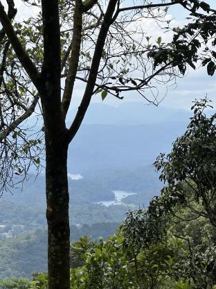 thekkady