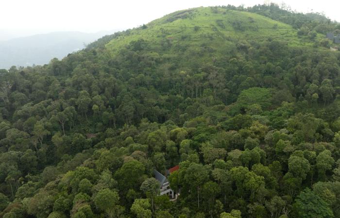 tapovana hillside retreat