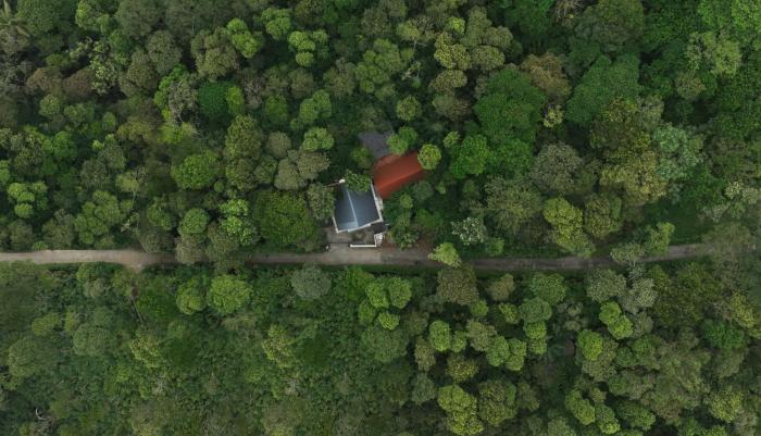 tapovana hillside retreat