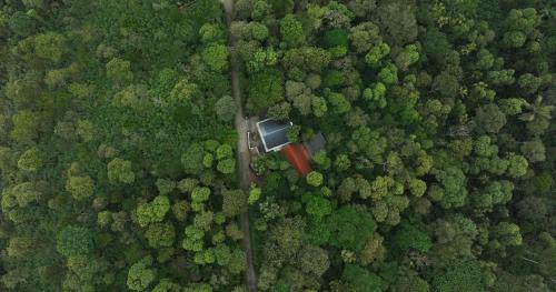 tapovana hillside retreat