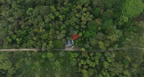 tapovana hillside retreat