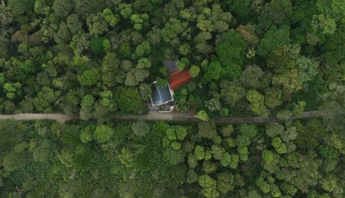 tapovana hillside retreat
