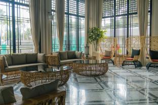 seashell samssara havelock