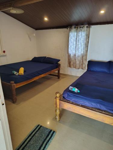 coconut tree cottages gokarna