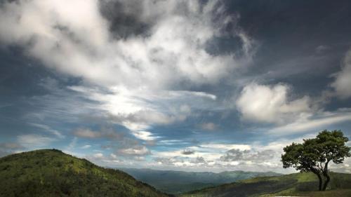 Stanley Revelation,,5 star