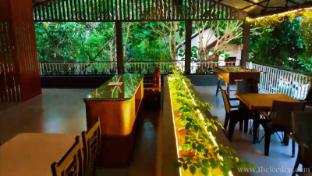 le eden private pool resort wayanad