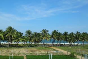 sea wave beach resort