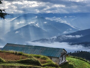 the himalayan shire