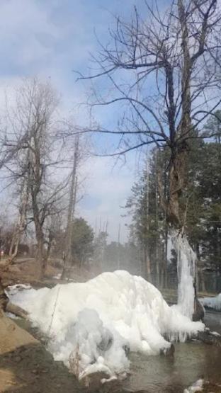 the riverside lodge gulmarg jammu and kashmir
