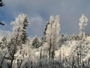 the riverside lodge gulmarg jammu and kashmir
