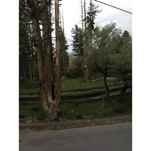 the riverside lodge gulmarg jammu and kashmir