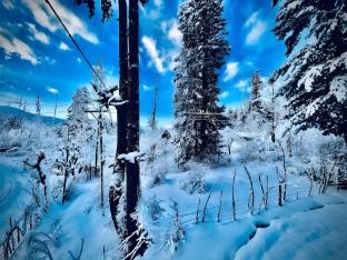 the riverside lodge gulmarg jammu and kashmir