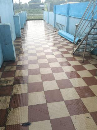 royal plaza homestay