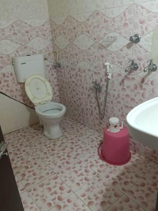 royal plaza homestay