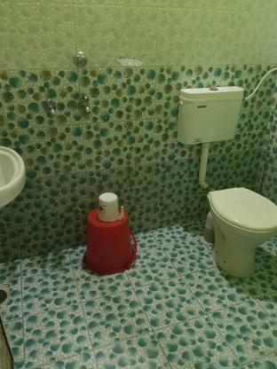 royal plaza homestay