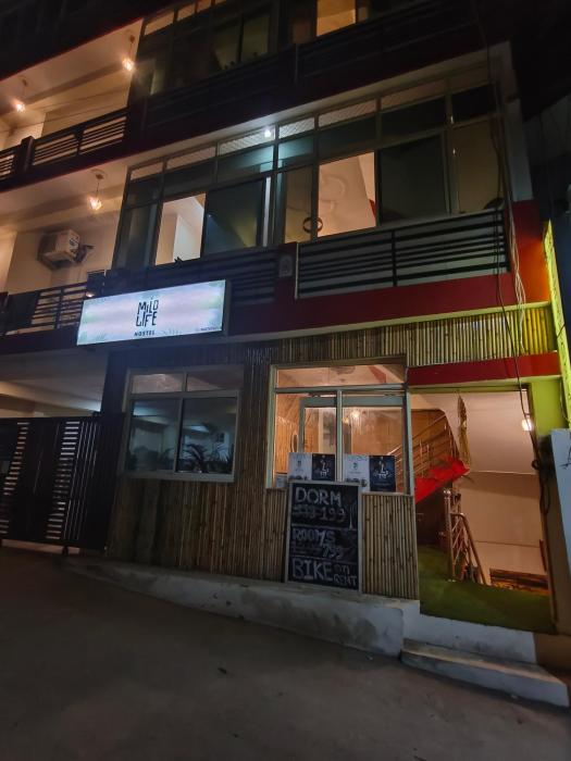 mild life hostel