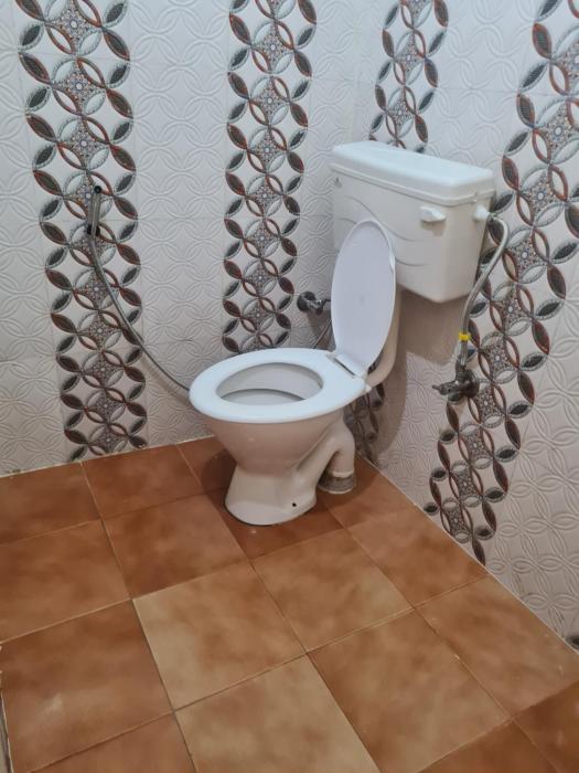 mild life hostel