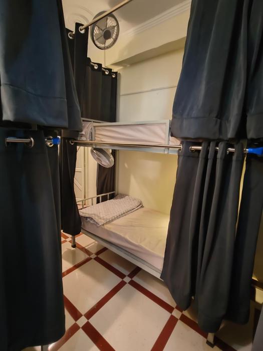 mild life hostel