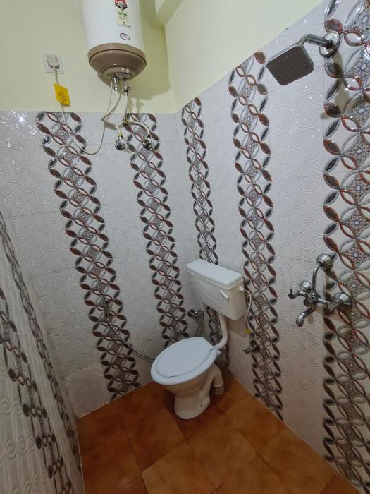 mild life hostel