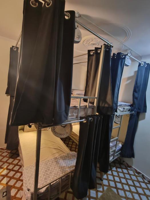 mild life hostel