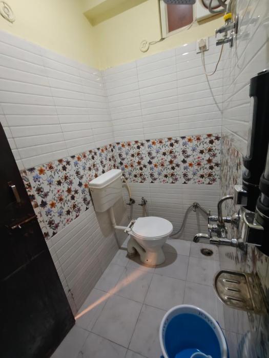 mild life hostel