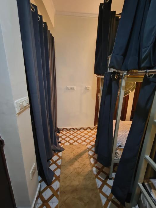 mild life hostel