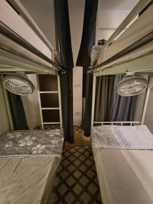 mild life hostel