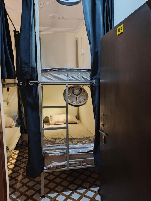 mild life hostel