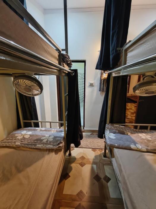 mild life hostel