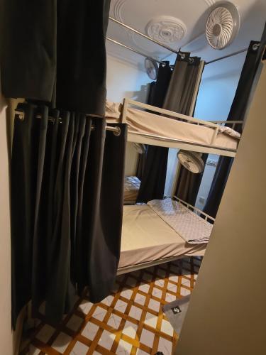 mild life hostel
