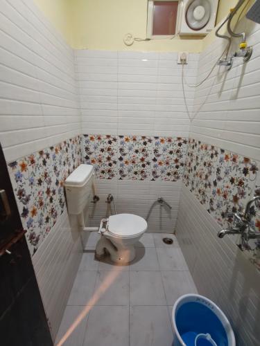 mild life hostel