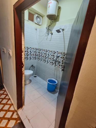 mild life hostel