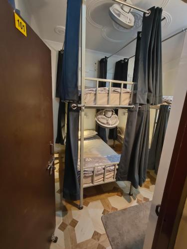 mild life hostel