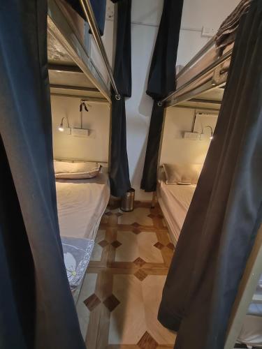 mild life hostel