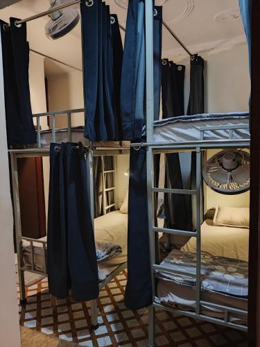 mild life hostel