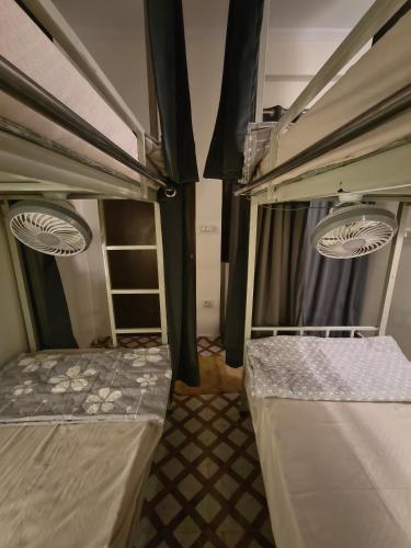 mild life hostel