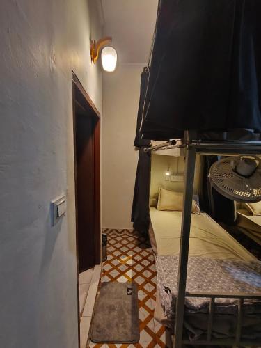 mild life hostel