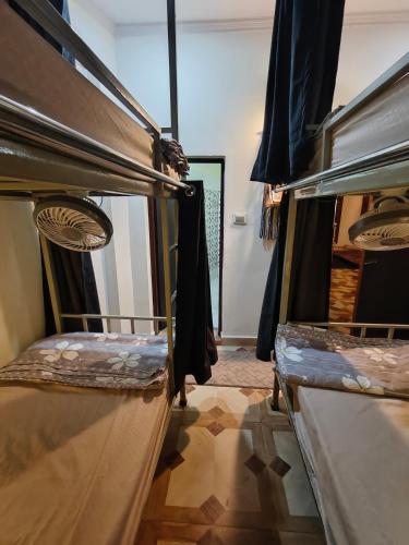 mild life hostel