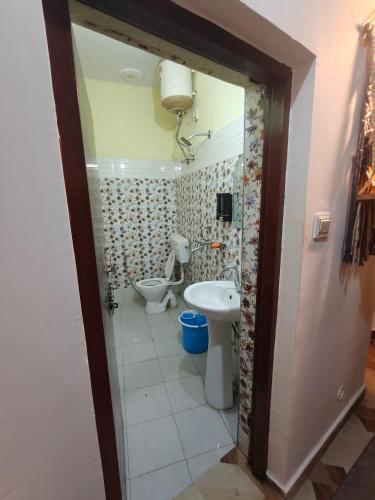 mild life hostel