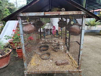 rising surya homestay