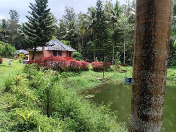 rising surya homestay