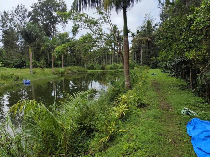 rising surya homestay