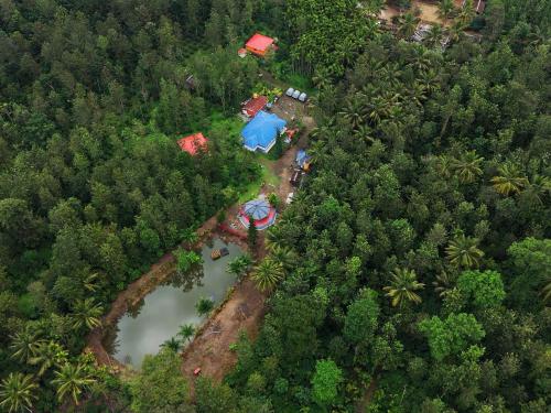 rising surya homestay