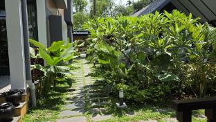 mango lantern villa kollam